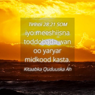 Picture 04 - Tirintii 28:21 SOM - iyo meeshiisna toddobada wan oo yaryar midkood - Bible Verse Picture