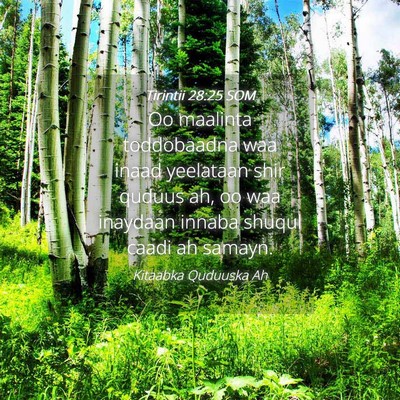 Picture 04 - Tirintii 28:25 SOM - Oo maalinta toddobaadna waa inaad yeelataan shir - Bible Verse Picture