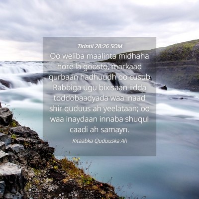 Picture 04 - Tirintii 28:26 SOM - Oo weliba maalinta midhaha hore la goosto, - Bible Verse Picture
