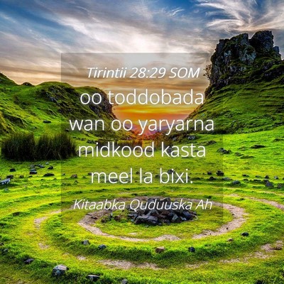 Picture 04 - Tirintii 28:29 SOM - oo toddobada wan oo yaryarna midkood kasta meel - Bible Verse Picture