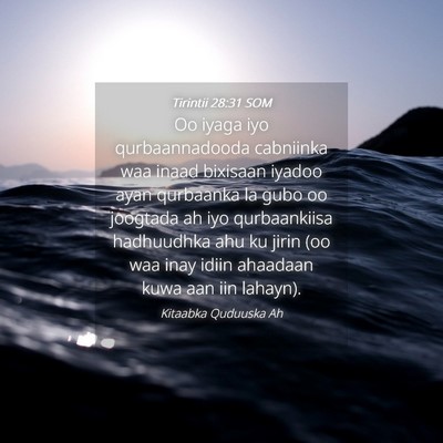 Picture 04 - Tirintii 28:31 SOM - Oo iyaga iyo qurbaannadooda cabniinka waa inaad - Bible Verse Picture