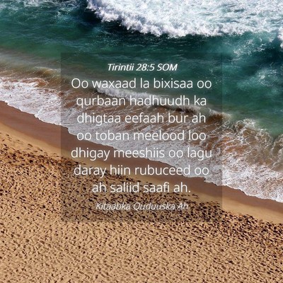Picture 04 - Tirintii 28:5 SOM - Oo waxaad la bixisaa oo qurbaan hadhuudh ka - Bible Verse Picture