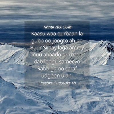 Picture 04 - Tirintii 28:6 SOM - Kaasu waa qurbaan la gubo oo joogto ah oo Buur - Bible Verse Picture