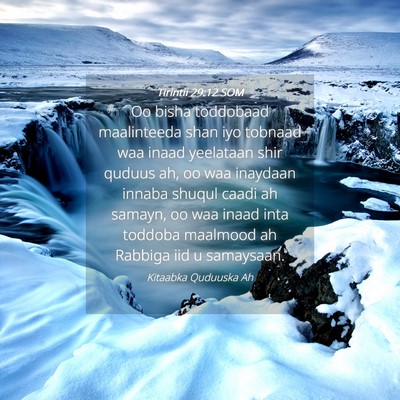 Picture 04 - Tirintii 29:12 SOM - Oo bisha toddobaad maalinteeda shan iyo tobnaad - Bible Verse Picture