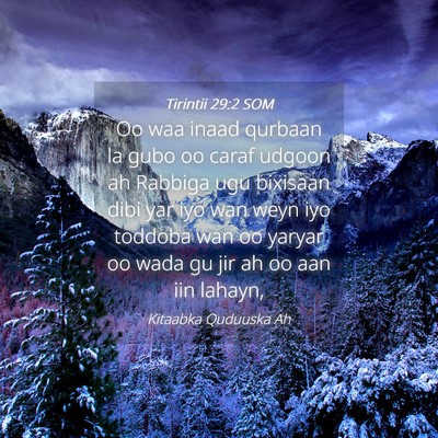 Picture 04 - Tirintii 29:2 SOM - Oo waa inaad qurbaan la gubo oo caraf udgoon ah - Bible Verse Picture