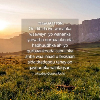 Picture 04 - Tirintii 29:21 SOM - Oo dibida iyo wananka waaweyn iyo wananka - Bible Verse Picture