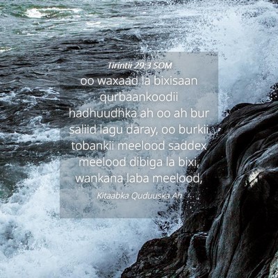 Picture 04 - Tirintii 29:3 SOM - oo waxaad la bixisaan qurbaankoodii hadhuudhka ah - Bible Verse Picture