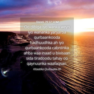 Picture 04 - Tirintii 29:37 SOM - Oo dibiga iyo wanka weyn iyo wananka yaryarba - Bible Verse Picture