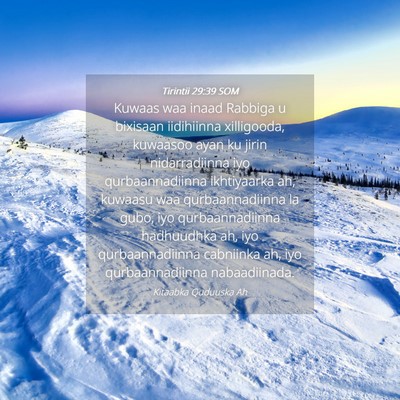 Picture 04 - Tirintii 29:39 SOM - Kuwaas waa inaad Rabbiga u bixisaan iidihiinna - Bible Verse Picture