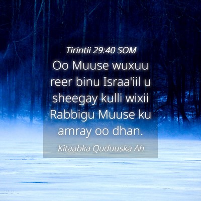 Picture 04 - Tirintii 29:40 SOM - Oo Muuse wuxuu reer binu Israa'iil u sheegay - Bible Verse Picture