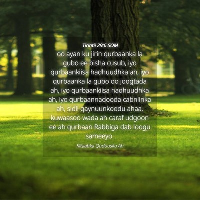 Picture 04 - Tirintii 29:6 SOM - oo ayan ku jirin qurbaanka la gubo ee bisha - Bible Verse Picture
