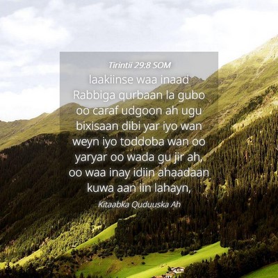 Picture 04 - Tirintii 29:8 SOM - laakiinse waa inaad Rabbiga qurbaan la gubo oo - Bible Verse Picture
