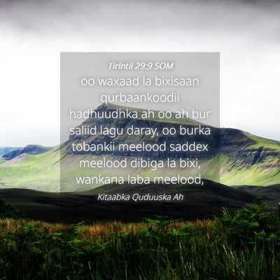 Picture 04 - Tirintii 29:9 SOM - oo waxaad la bixisaan qurbaankoodii hadhuudhka ah - Bible Verse Picture