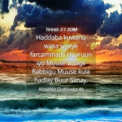 Picture 04 - Tirintii 3:1 SOM - Haddaba kuwanu waxa weeye farcammadii Haaruun iyo - Bible Verse Picture