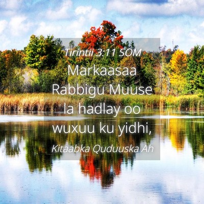Picture 04 - Tirintii 3:11 SOM - Markaasaa Rabbigu Muuse la hadlay oo wuxuu ku - Bible Verse Picture