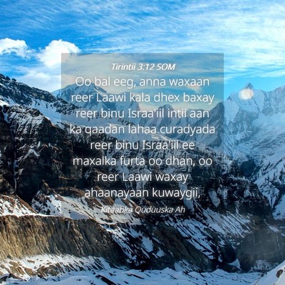 Picture 04 - Tirintii 3:12 SOM - Oo bal eeg, anna waxaan reer Laawi kala dhex - Bible Verse Picture