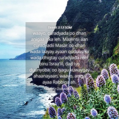 Picture 04 - Tirintii 3:13 SOM - waayo, curadyada oo dhan anigaa iska leh. - Bible Verse Picture