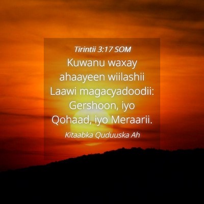 Picture 04 - Tirintii 3:17 SOM - Kuwanu waxay ahaayeen wiilashii Laawi - Bible Verse Picture