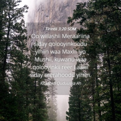 Picture 04 - Tirintii 3:20 SOM - Oo wiilashii Meraariina siday qolooyinkoodu - Bible Verse Picture