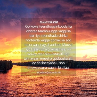 Picture 04 - Tirintii 3:38 SOM - Oo kuwa teendhooyinkooda ka dhistaa taambuugga - Bible Verse Picture