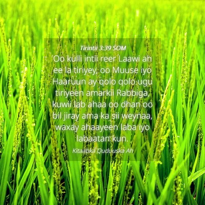 Picture 04 - Tirintii 3:39 SOM - Oo kulli intii reer Laawi ah ee la tiriyey, oo - Bible Verse Picture