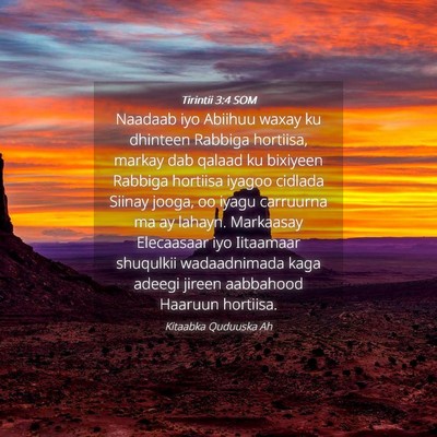 Picture 04 - Tirintii 3:4 SOM - Naadaab iyo Abiihuu waxay ku dhinteen Rabbiga - Bible Verse Picture