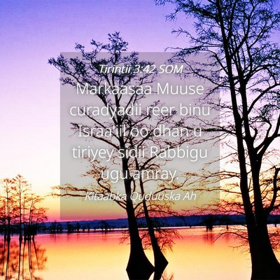 Picture 04 - Tirintii 3:42 SOM - Markaasaa Muuse curadyadii reer binu Israa'iil oo - Bible Verse Picture