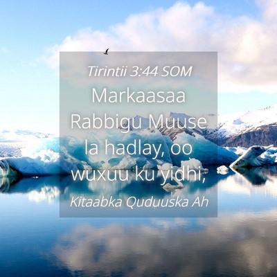 Picture 04 - Tirintii 3:44 SOM - Markaasaa Rabbigu Muuse la hadlay, oo wuxuu ku - Bible Verse Picture