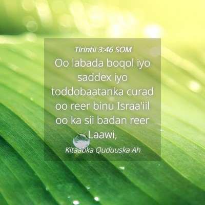 Picture 04 - Tirintii 3:46 SOM - Oo labada boqol iyo saddex iyo toddobaatanka - Bible Verse Picture