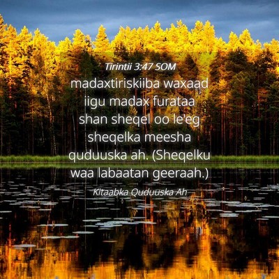 Picture 04 - Tirintii 3:47 SOM - madaxtiriskiiba waxaad iigu madax furataa shan - Bible Verse Picture