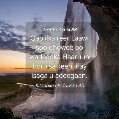 Picture 04 - Tirintii 3:6 SOM - Qabiilka reer Laawi soo dhowee oo wadaadka - Bible Verse Picture
