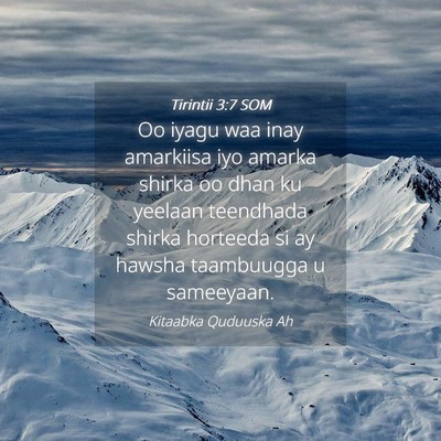 Picture 04 - Tirintii 3:7 SOM - Oo iyagu waa inay amarkiisa iyo amarka shirka oo - Bible Verse Picture