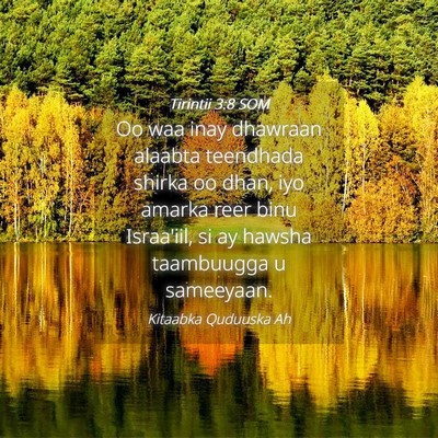 Picture 04 - Tirintii 3:8 SOM - Oo waa inay dhawraan alaabta teendhada shirka oo - Bible Verse Picture