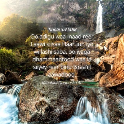 Picture 04 - Tirintii 3:9 SOM - Oo adigu waa inaad reer Laawi siisaa Haaruun iyo - Bible Verse Picture