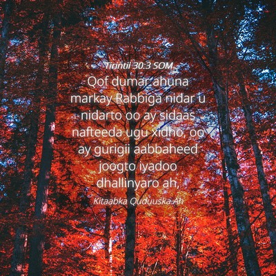 Picture 04 - Tirintii 30:3 SOM - Qof dumar ahuna markay Rabbiga nidar u nidarto oo - Bible Verse Picture