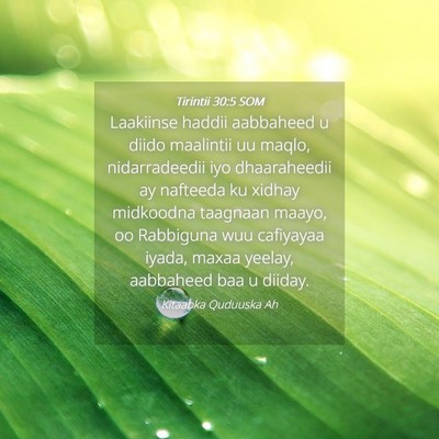 Picture 04 - Tirintii 30:5 SOM - Laakiinse haddii aabbaheed u diido maalintii uu - Bible Verse Picture