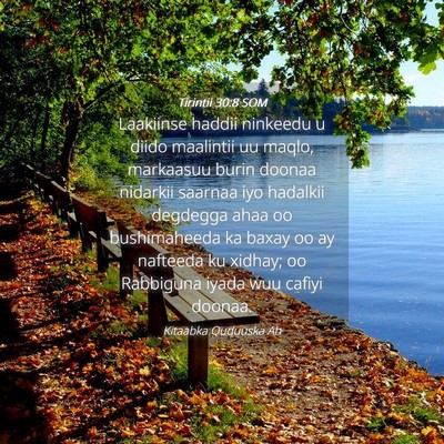 Picture 04 - Tirintii 30:8 SOM - Laakiinse haddii ninkeedu u diido maalintii uu - Bible Verse Picture