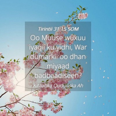 Picture 04 - Tirintii 31:15 SOM - Oo Muuse wuxuu iyagii ku yidhi, War dumarkii oo - Bible Verse Picture