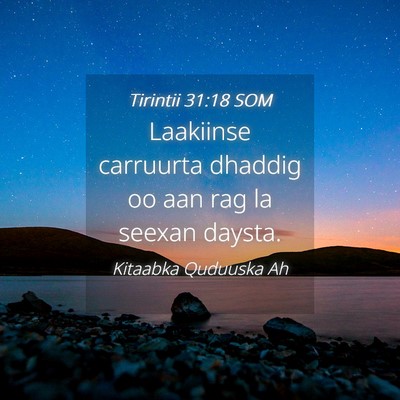 Picture 04 - Tirintii 31:18 SOM - Laakiinse carruurta dhaddig oo aan rag la seexan - Bible Verse Picture