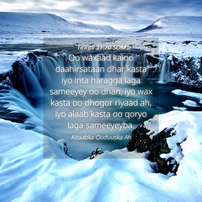 Picture 04 - Tirintii 31:20 SOM - Oo waxaad kaloo daahirsataan dhar kasta iyo inta - Bible Verse Picture