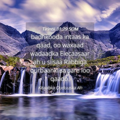 Picture 04 - Tirintii 31:29 SOM - badhkooda intaas ka qaad, oo waxaad wadaadka - Bible Verse Picture