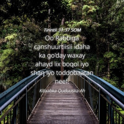 Picture 04 - Tirintii 31:37 SOM - Oo Rabbiga canshuurtiisii idaha ka go'day waxay - Bible Verse Picture