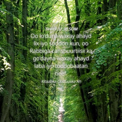 Picture 04 - Tirintii 31:38 SOM - Oo lo'duna waxay ahayd lix iyo soddon kun, oo - Bible Verse Picture