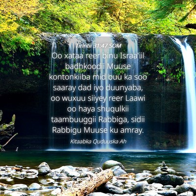 Picture 04 - Tirintii 31:47 SOM - Oo xataa reer binu Israa'iil badhkoodii Muuse - Bible Verse Picture