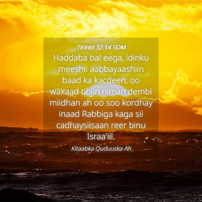 Picture 04 - Tirintii 32:14 SOM - Haddaba bal eega, idinku meeshii aabbayaashiin - Bible Verse Picture