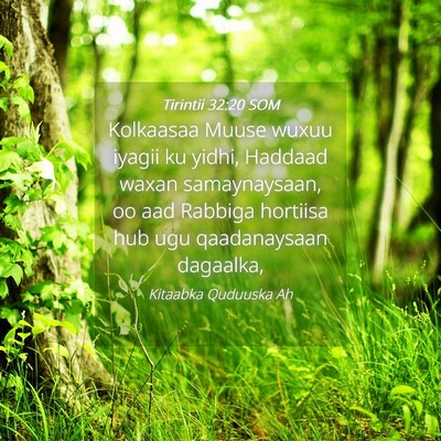 Picture 04 - Tirintii 32:20 SOM - Kolkaasaa Muuse wuxuu iyagii ku yidhi, Haddaad - Bible Verse Picture