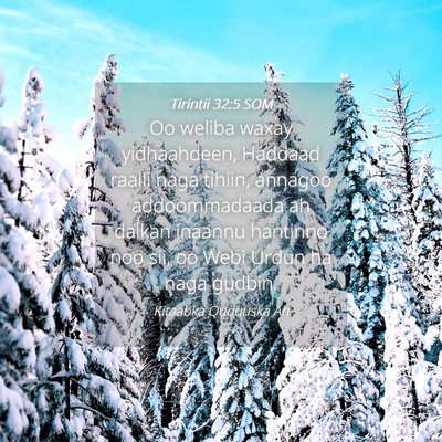 Picture 04 - Tirintii 32:5 SOM - Oo weliba waxay yidhaahdeen, Haddaad raalli naga - Bible Verse Picture