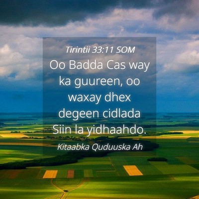 Picture 04 - Tirintii 33:11 SOM - Oo Badda Cas way ka guureen, oo waxay dhex degeen - Bible Verse Picture