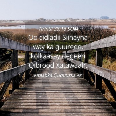 Picture 04 - Tirintii 33:16 SOM - Oo cidladii Siinayna way ka guureen, kolkaasay - Bible Verse Picture