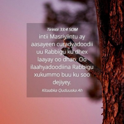 Picture 04 - Tirintii 33:4 SOM - intii Masriyiintu ay aasayeen curadyadoodii uu - Bible Verse Picture